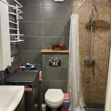 Hygge Apartment Mizhhirya  المظهر الخارجي الصورة