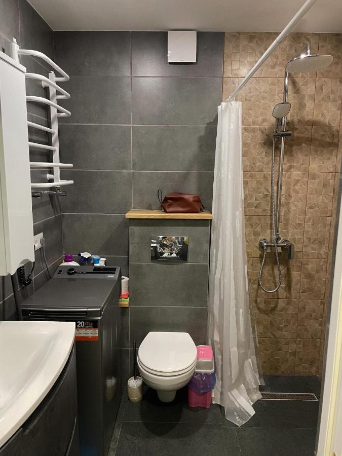 Hygge Apartment Mizhhirya (Transcarpathia)